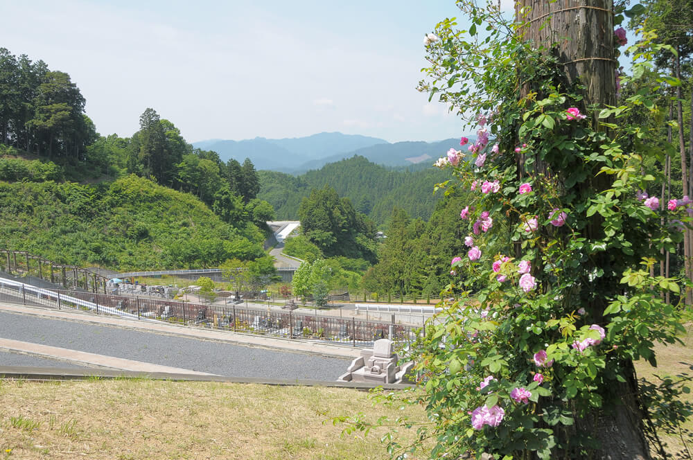 ひので霊園からの景観