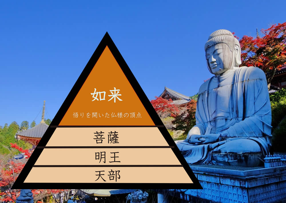 如来 悟りを開いた仏様の頂点　菩薩　明王　天部